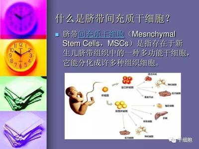 罗子鸣:2019年我国有四款干细胞新药获得临床批件全部为间充质干细胞产品!