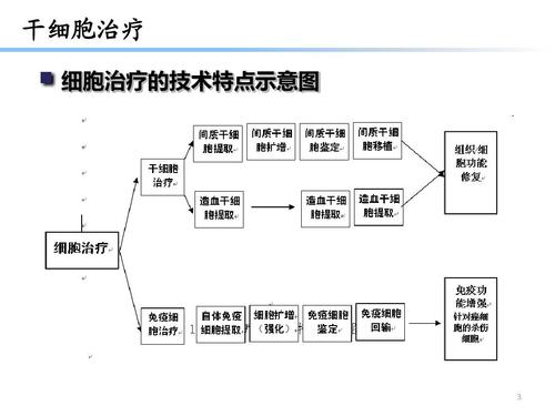 系列文档的第二部分 干细胞治疗 细胞治疗的技术特点示意图