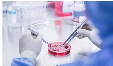 中国步入干细胞治疗时代,众多干细胞新药已获得审批!