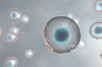 细胞科普 :“冻存”的和“现做”的干细胞,差距有多大?