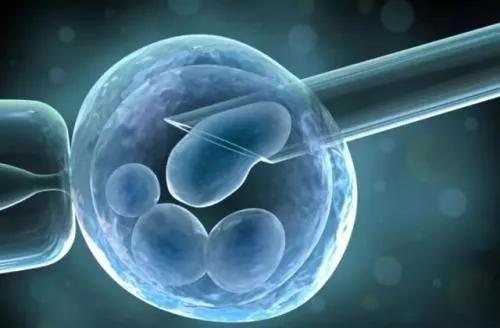 《人胚胎干细胞》标准落地,细胞有望成为“活药品”