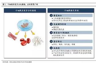 奇迹 车王舒马赫醒了 干细胞 科技守护生命