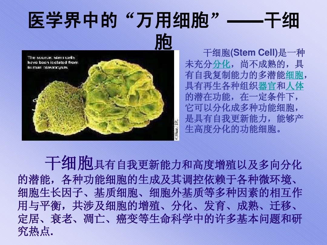 干细胞的进展和应用