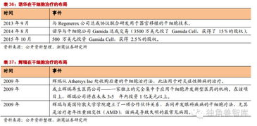 独角兽智库 干细胞治疗 生命再生奇迹,无可替代技术 下 目录 1 再生医学与干细胞 多重刺激下,将火热发展 2 干细胞分类和干细胞存储市场分析