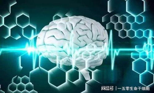 干细胞疗法对精神疾病的研究进展
