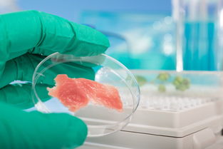 生产高科技美味的未来肉类工厂其实一点也不恐怖