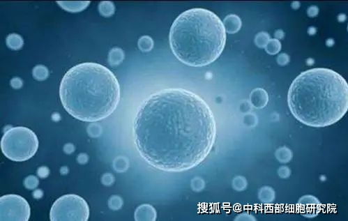 中科西部干细胞研究院 搭建口腔干细胞库的意义