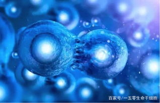 干细胞移植治疗肺癌效果怎么样