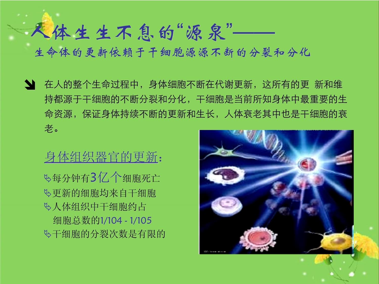 干细胞产品介绍