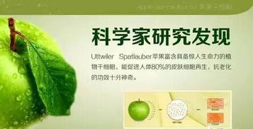 资讯详情页