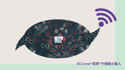 SCLnow圣释个性化精准医疗产品_产品_圣释工厂_SCLnow圣释