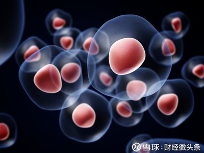 财经微头条: 干细胞或是人类突破年龄的关键点 记得之前有人调侃韩剧有三宝:车祸、癌症、治不好,现代医学对于绝症大多没有切实有效的疗法,但像治疗心脑血管疾病、神经系统疾. - 雪球