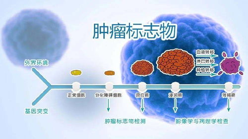 干细胞对抗肿瘤